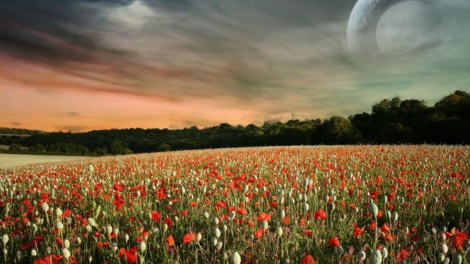 MongoDB的缺点以及你为什么不使用MongoDB？